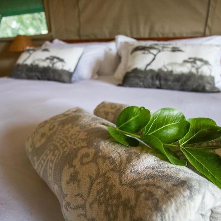 Little Africa Safari Lodge Hoedspruit Exterior photo