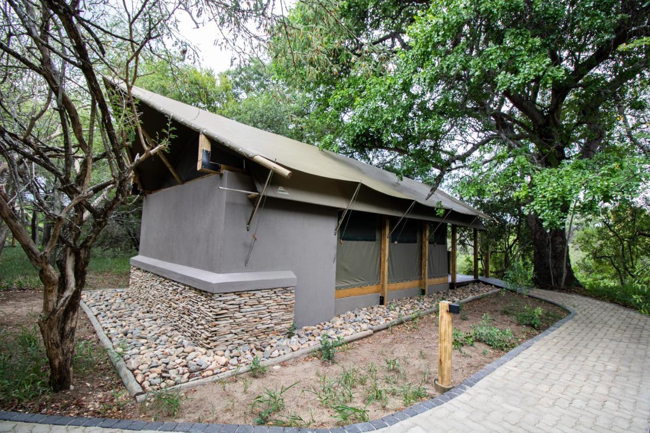 Little Africa Safari Lodge Hoedspruit Exterior photo