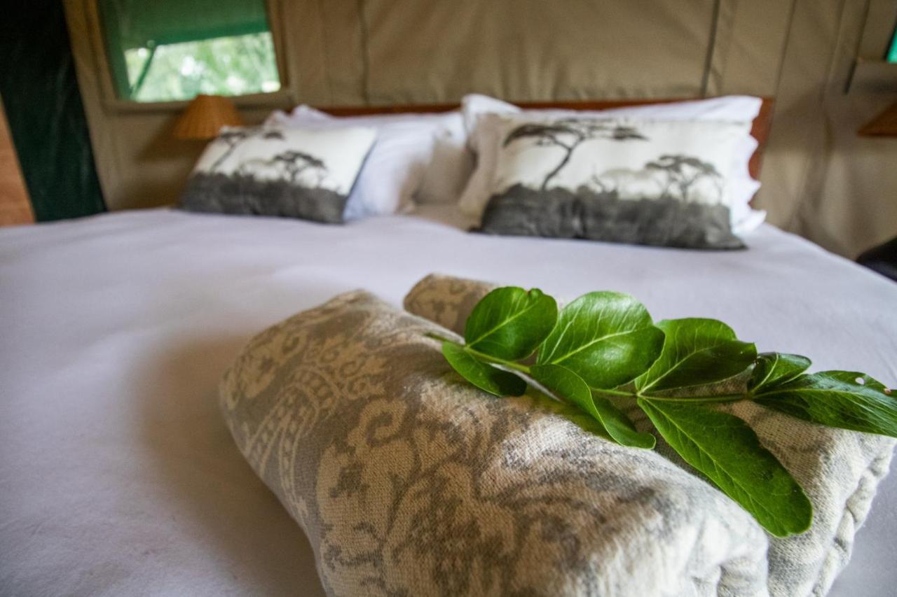 Little Africa Safari Lodge Hoedspruit Exterior photo