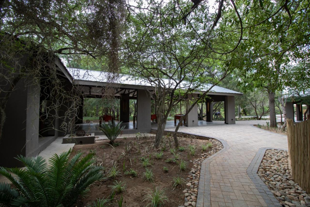 Little Africa Safari Lodge Hoedspruit Exterior photo