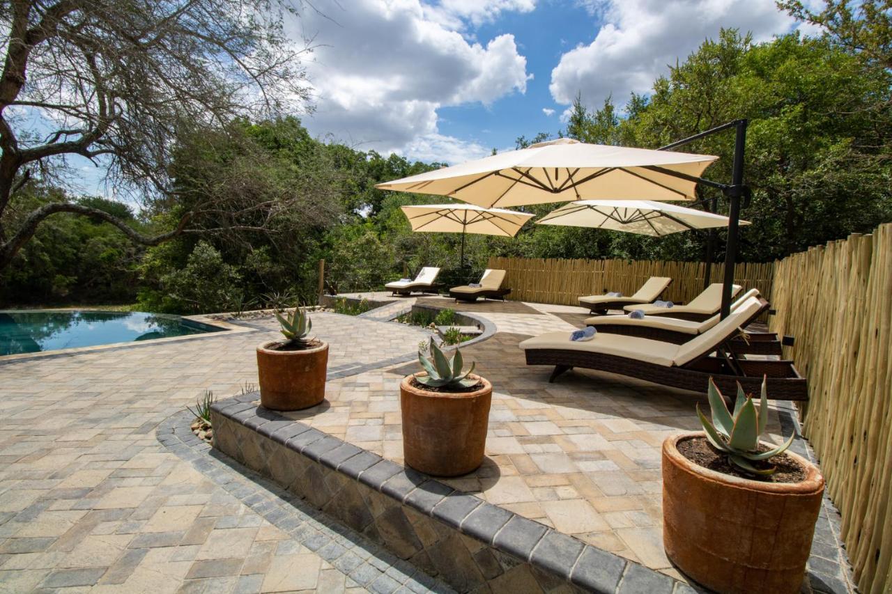 Little Africa Safari Lodge Hoedspruit Exterior photo