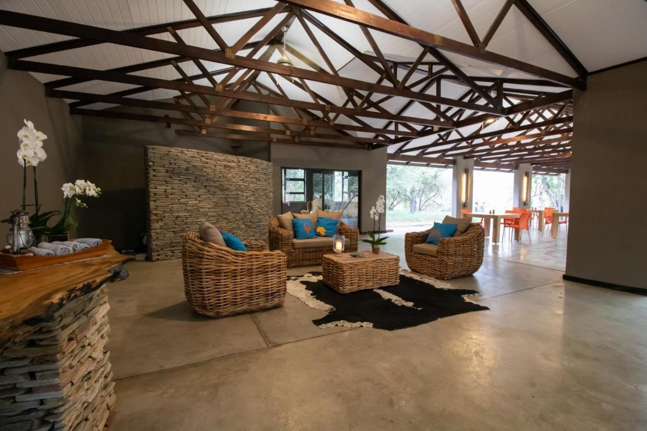 Little Africa Safari Lodge Hoedspruit Exterior photo